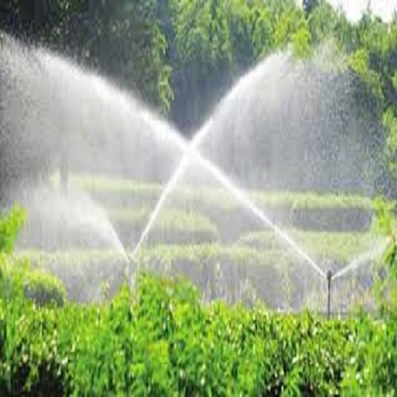 Solar-Powered Automatic Irrigation Systems